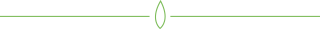 column-divider